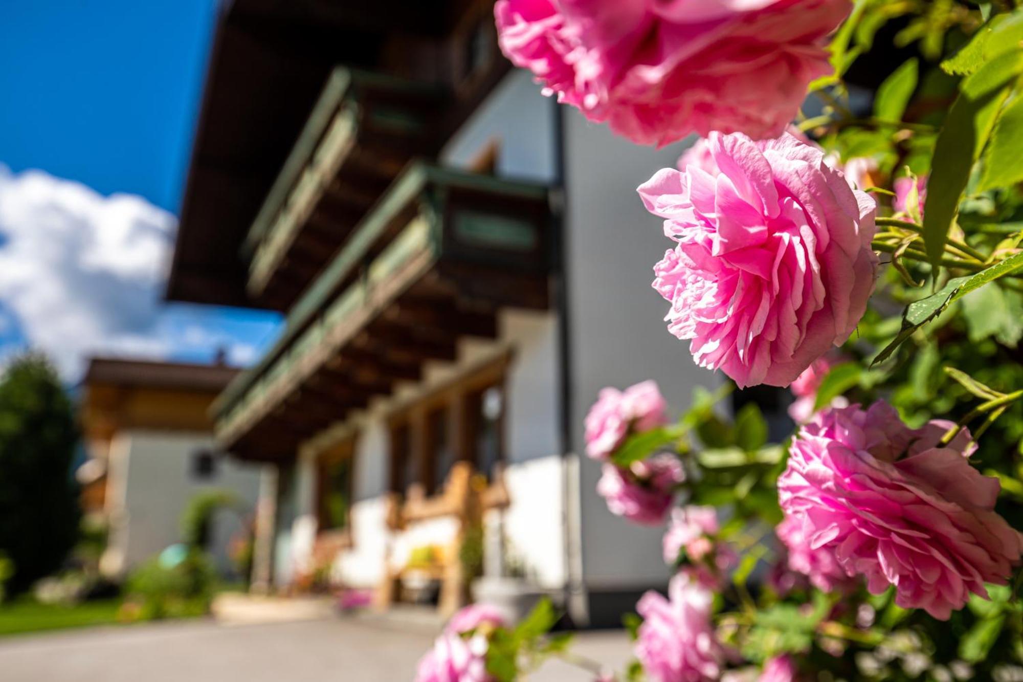 Holiday Im Gaestehaus Warter In Altenmarkt Altenmarkt im Pongau Eksteriør billede