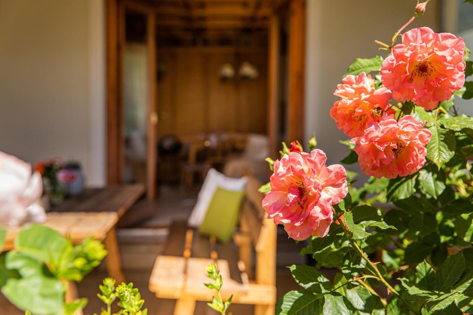 Holiday Im Gaestehaus Warter In Altenmarkt Altenmarkt im Pongau Eksteriør billede